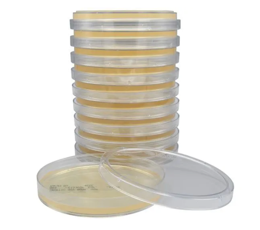 Tryptic Soy Agar (TSA), USP, 15x100mm, 10 per package