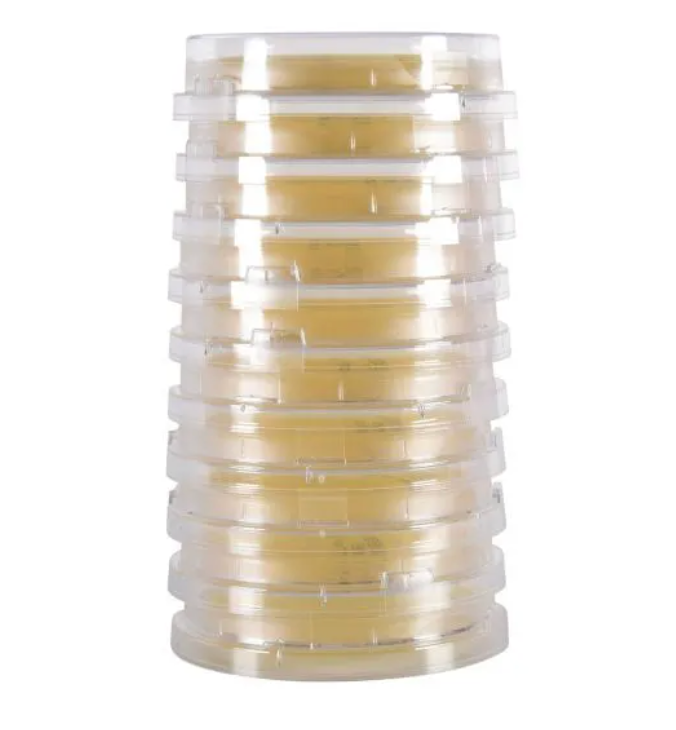 Sabdex (Sabouraud Dextrose) Agar, contact plate with Lok-Tight™ friction lid, optional locking feature, package of 10