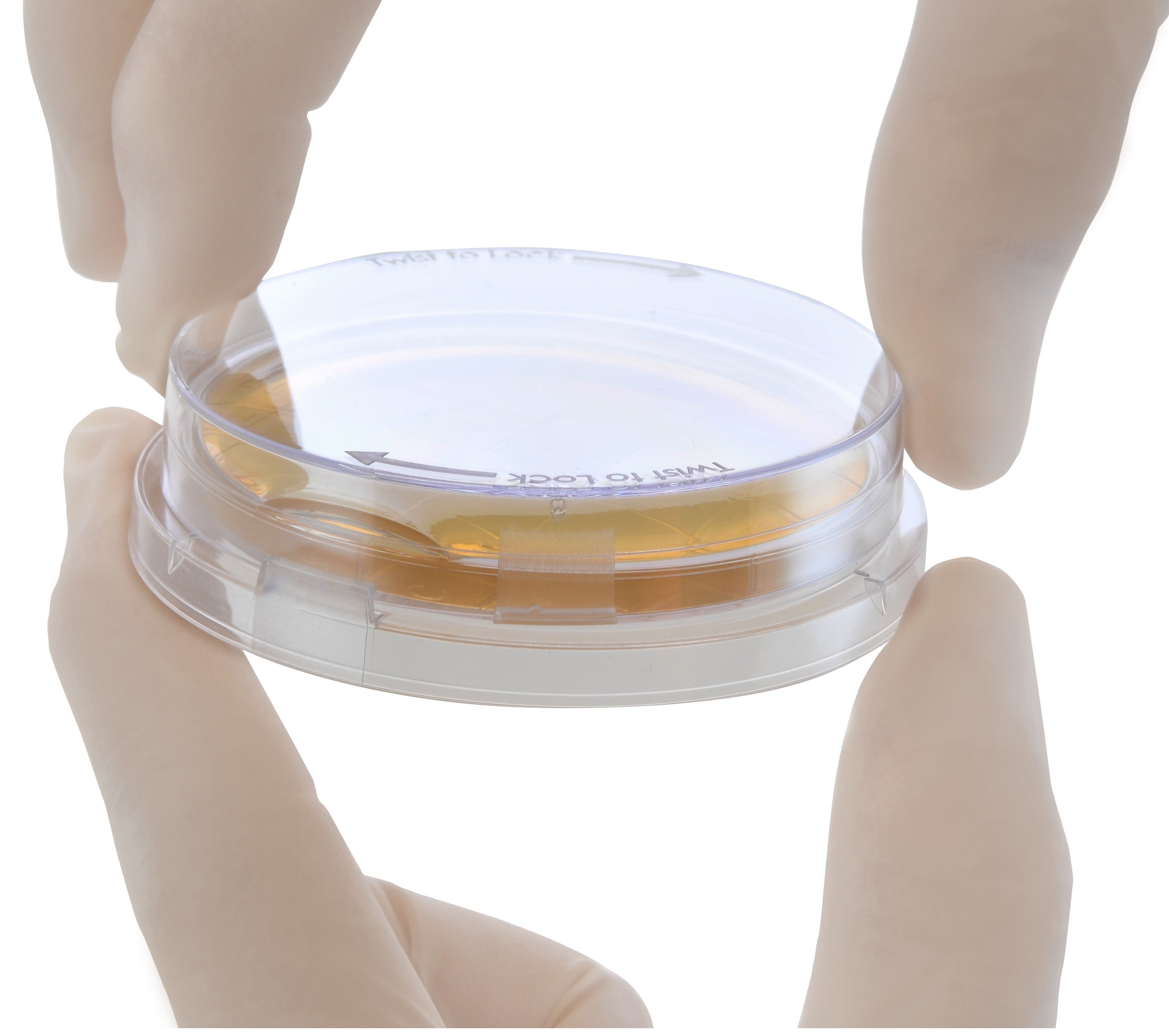 P520: Tryptic Soy Agar (TSA) with Lecithin and Tween® 80, USP, irradiated,  triple bagged, contact plate (10/pack)