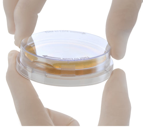 P595: Sabdex (Sabouraud Dextrose) Agar with Lecithin and Tween® 80, irradiated, triple bagged, contact plate, Lok-Tight™ friction lid, order by the package of 10