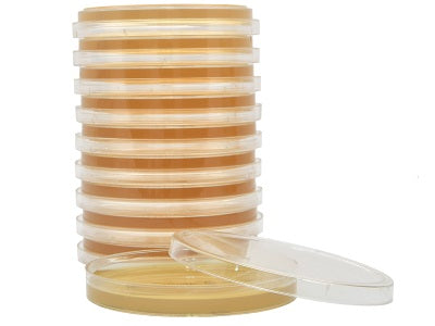 Tryptic Soy Agar (TSA) with Lecithin and Tween® 80, USP, irradiated, triple bagged, 15x100mm plate (10 plates/pack), W520